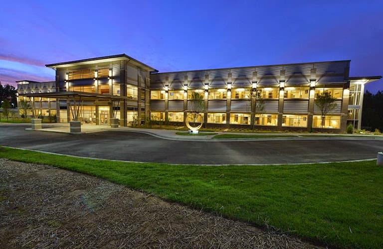 SALUDE - THE ART OF RECOVERY