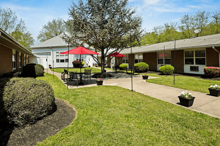 SPRINGS REHABILITATION AT BRANDYWINE