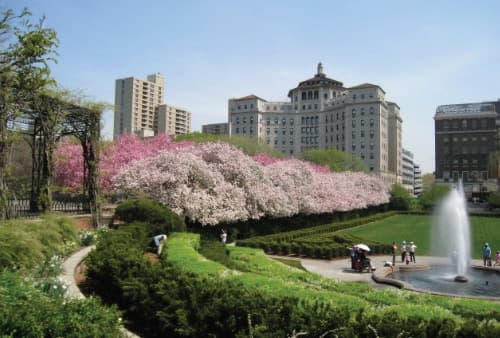 TERENCE CARDINAL COOKE HEALTH CARE CENTER