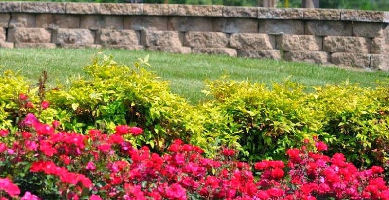 Lake Way Rehabilitation and Healthcare Center