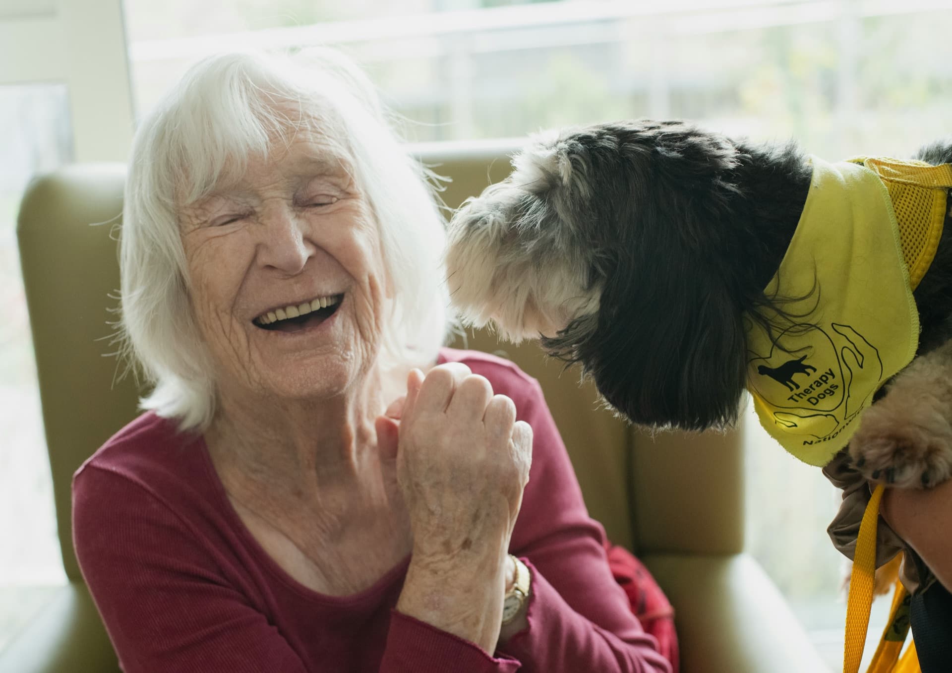 Senior woman laughing with a therapy dog
