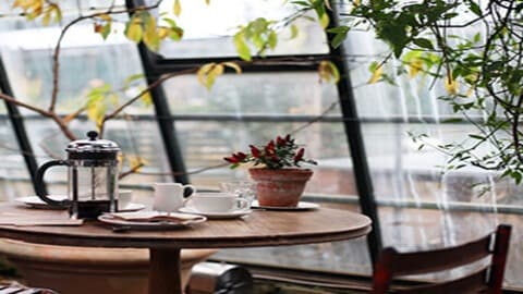 AVALON ESTATES ASSISTED LIVING, LLC