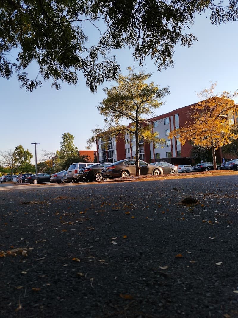 THE MCAULEY CENTER, INC.