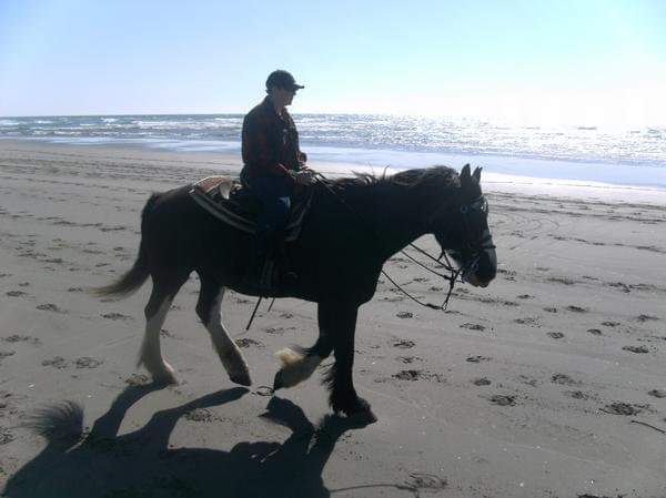 Emerald Care Center Inc