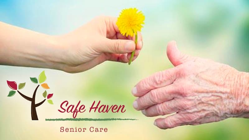 SAFE HAVEN SENIOR CARE LLC