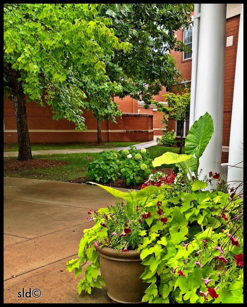 NHC Place at Cool Springs