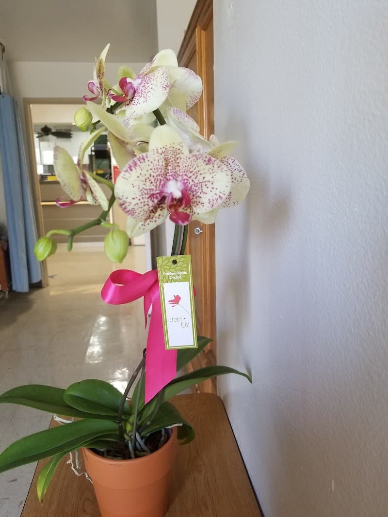 FULLERTON SWEET HOME