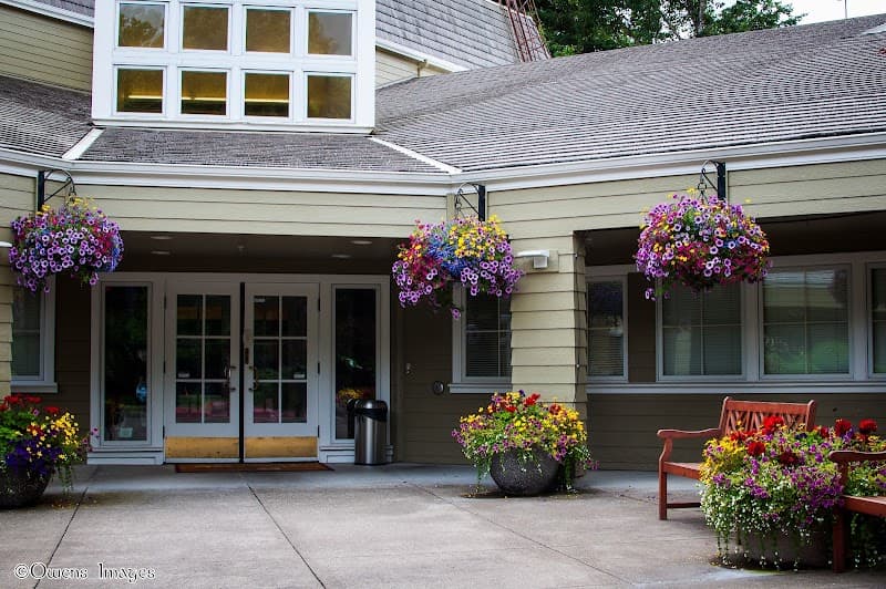 Springridge Court Assisted Living