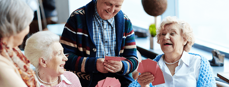 Walking Horse Meadows