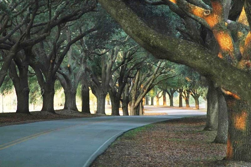 OAKS ASSISTED LIVING