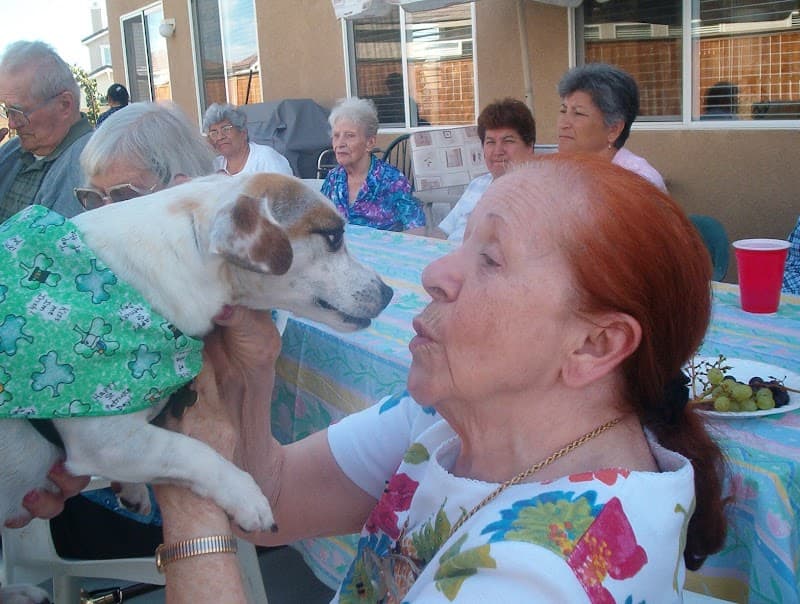 BOUNDLESS CARE FOR THE ELDERLY