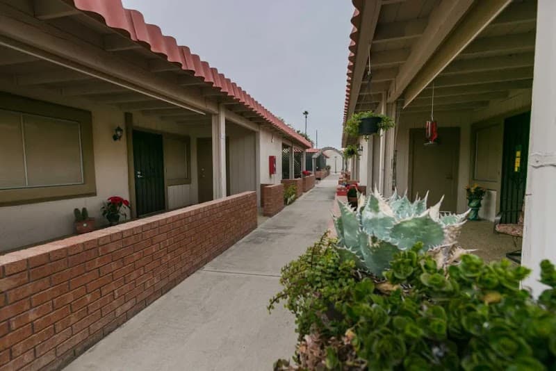 OLIVE PARK ASSISTED LIVING