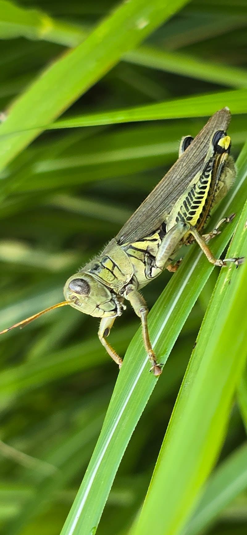 Centerpointe Recovery Center I