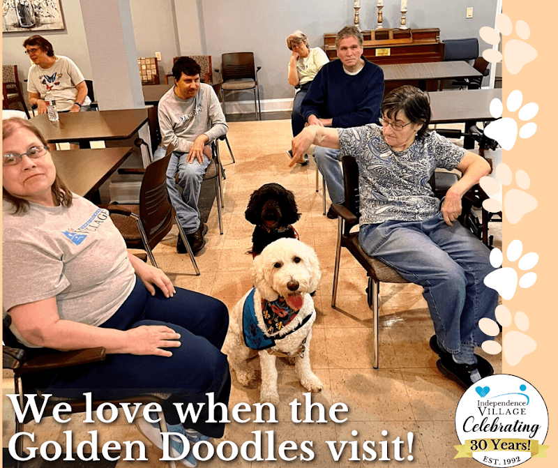 THE INDEPENDENCE VILLAGE