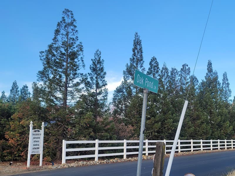 ARVEAH'S CARE HOMES 4