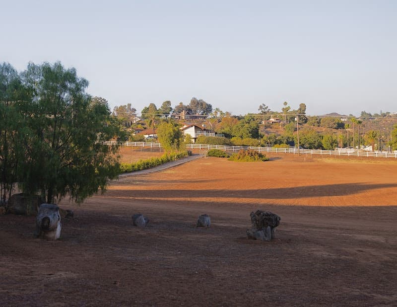 BLOSSOM VALLEY RESIDENTIAL CARE