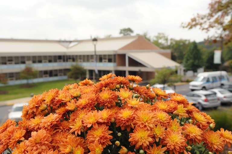 CONCORDIA AT RIDGEWOOD PLACE