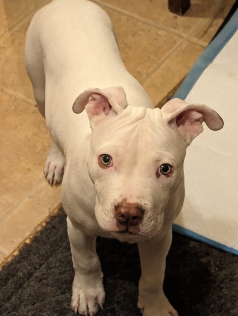 CLARITY CARE SHAWANO AVE APARTMENTS