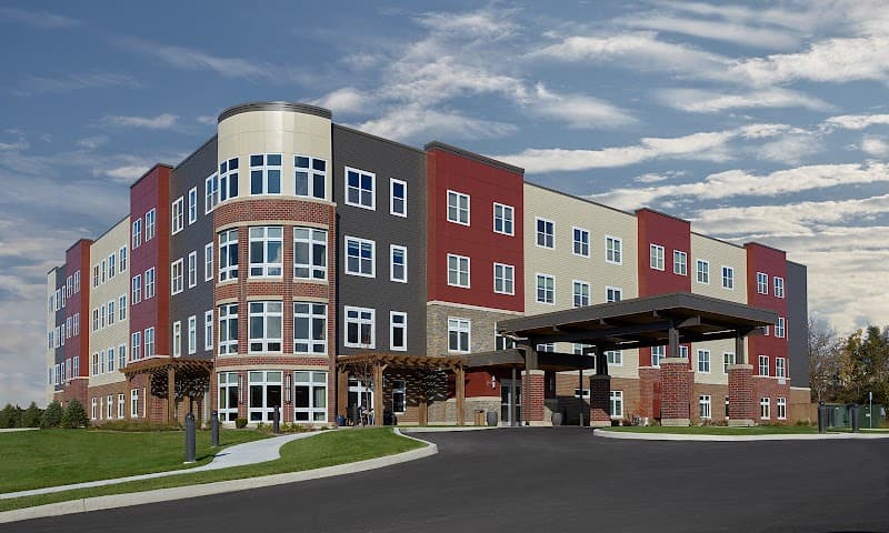 Silver Birch Of Kokomo