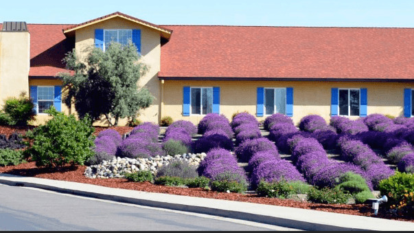 LAVENDER HILLS ASSISTED LIVING II