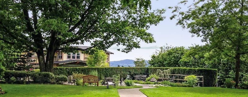 Elite Care Adams - Hood