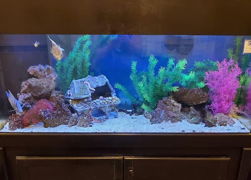 Wyndmoor Assisted Living Llc