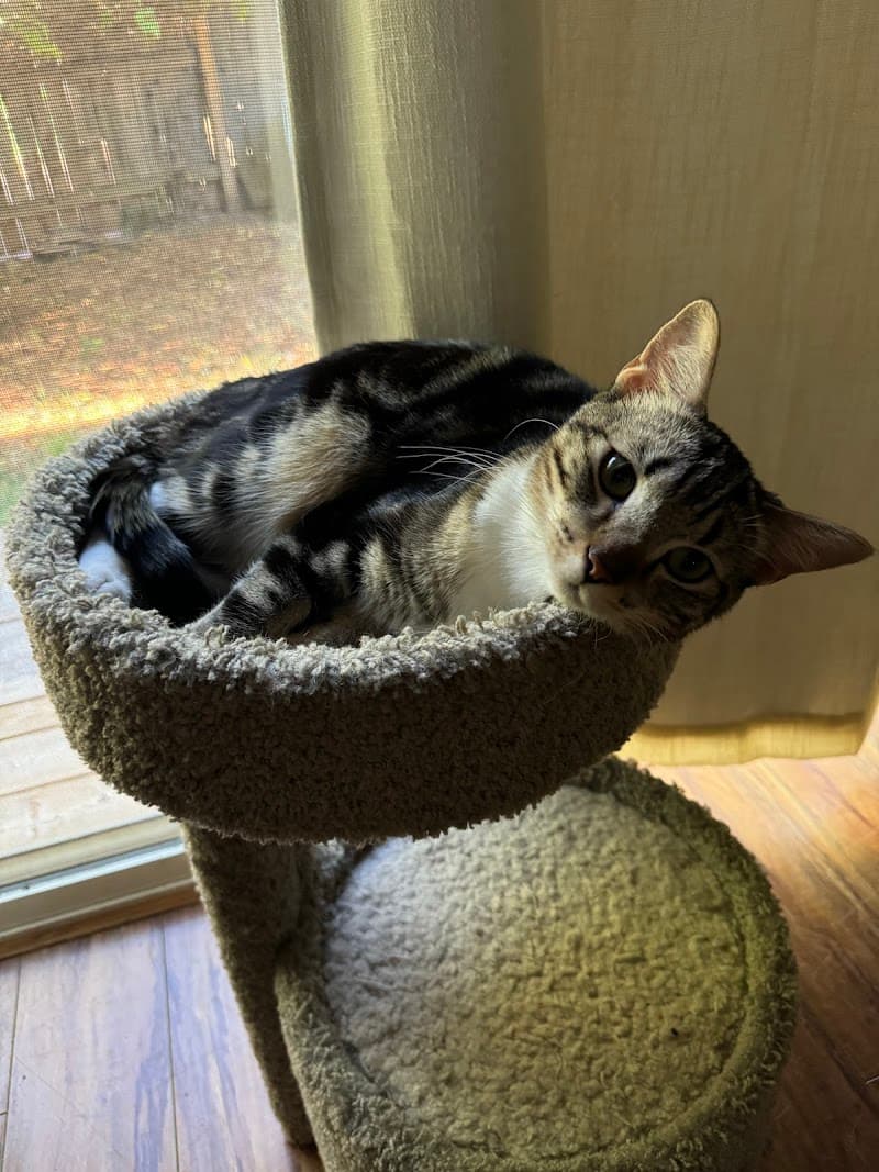 ST. MARTIN'S CARE HOME