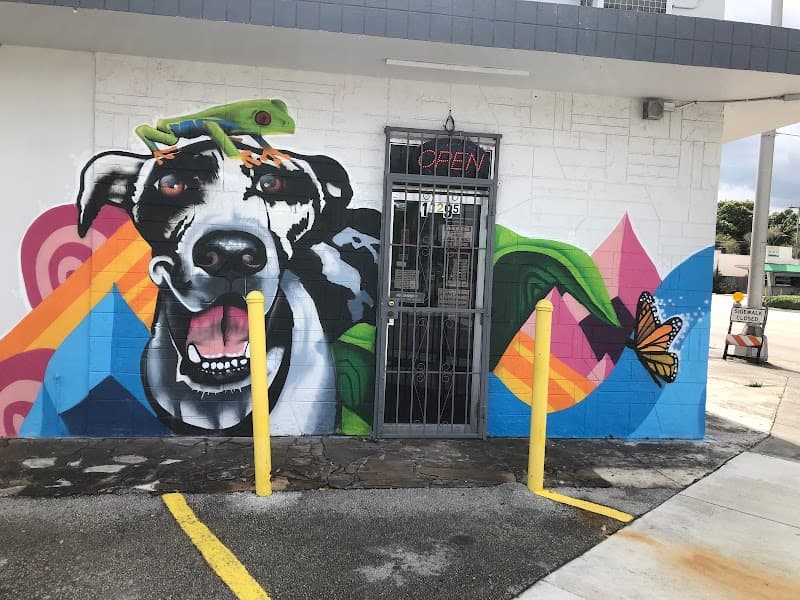 L & B SOLUTION CARE, II INC.