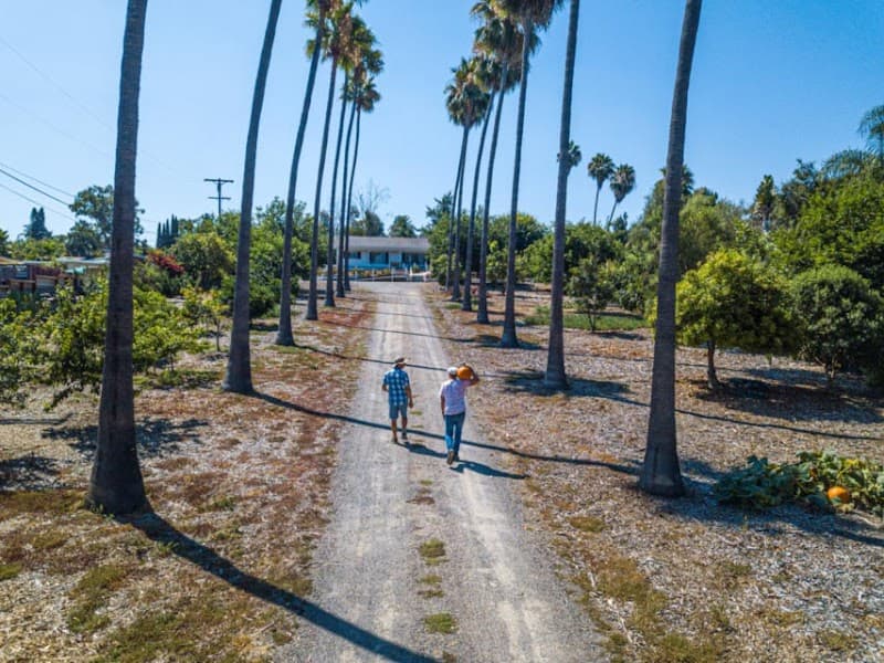 CARING HEARTS COTTAGE