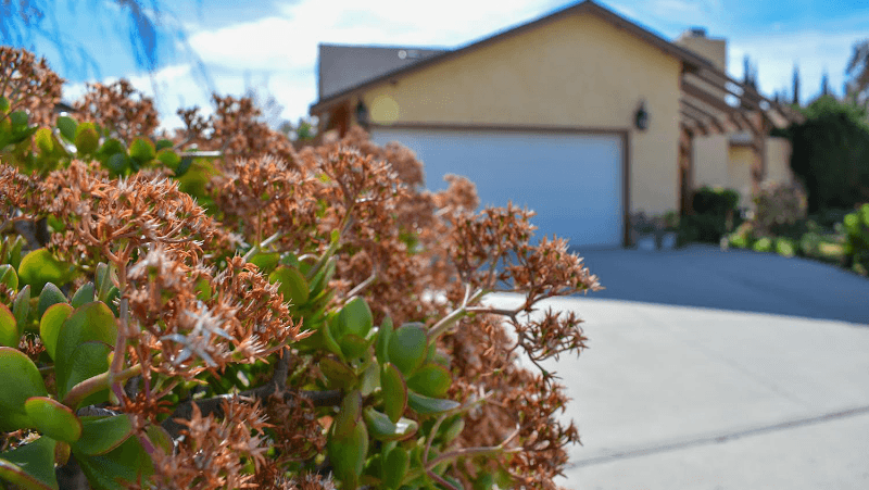 LAIGO-ZANDERS HOME FOR THE ELDERLY II