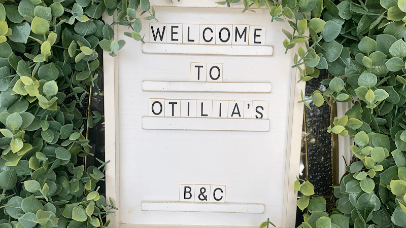 OTILIA'S BOARD AND CARE