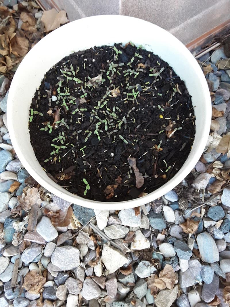 Elegant Residential Living