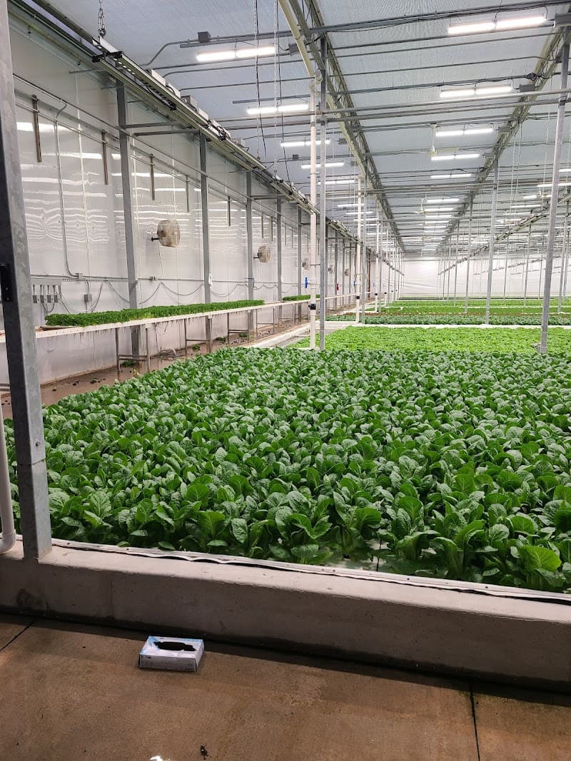 Seventy-Sixth St. AFC LLC