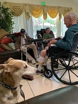 NEW WORLD VILLA SOUTH