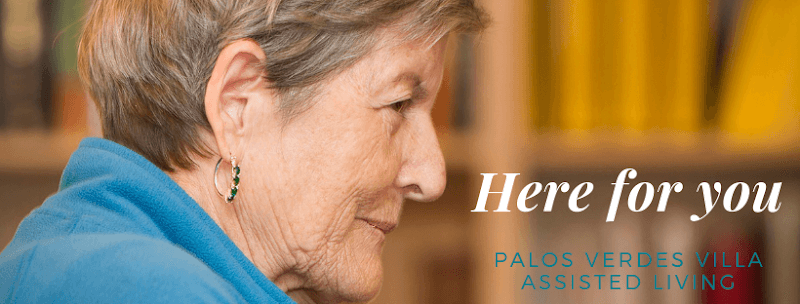 PALOS VERDES VILLA LLC