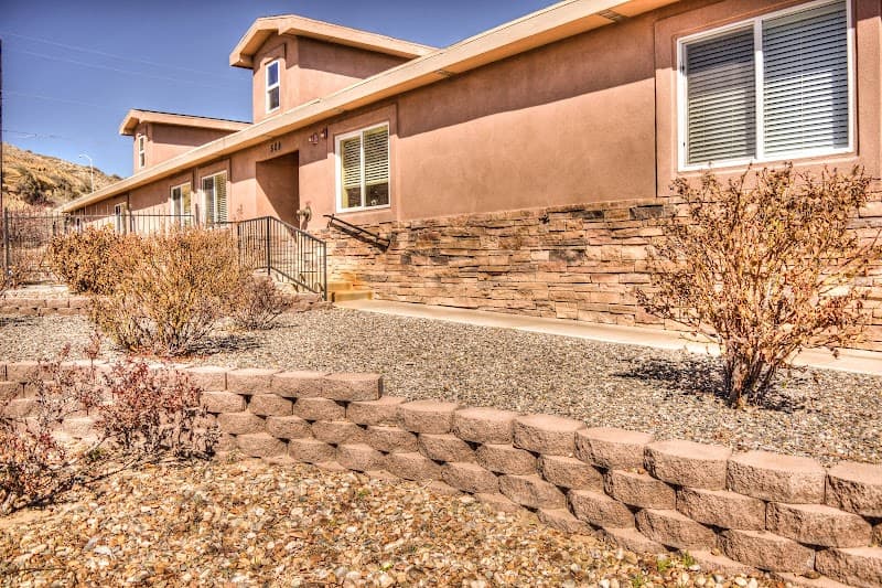 Bee Hive Memory Loss Home