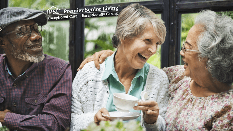 The Pines Of Burton Memory - South