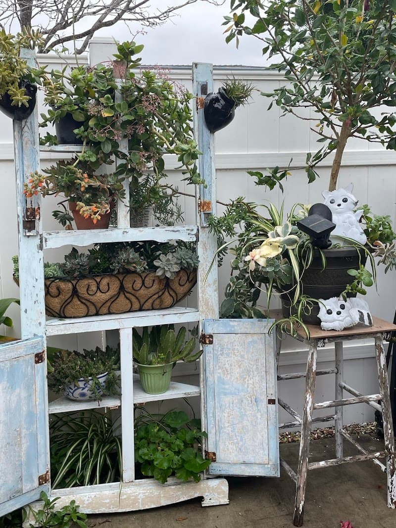 MAILE ALOHA CARE HOME