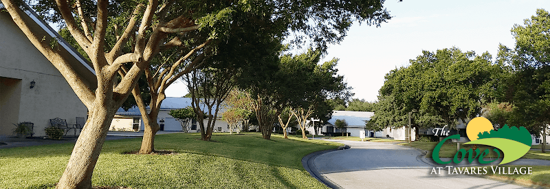 THE COVE AT TAVARES VILLAGE