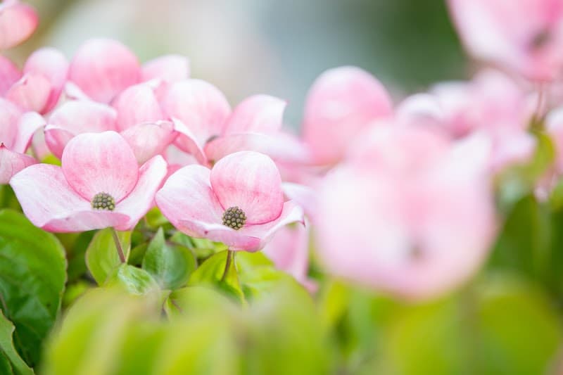 Gateway 2 Healthier Living