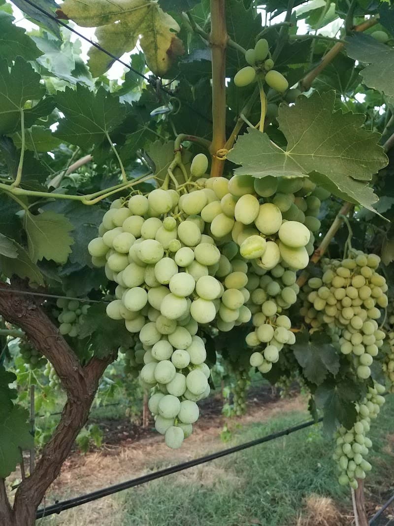 JOHNSON HOME 112 INC.