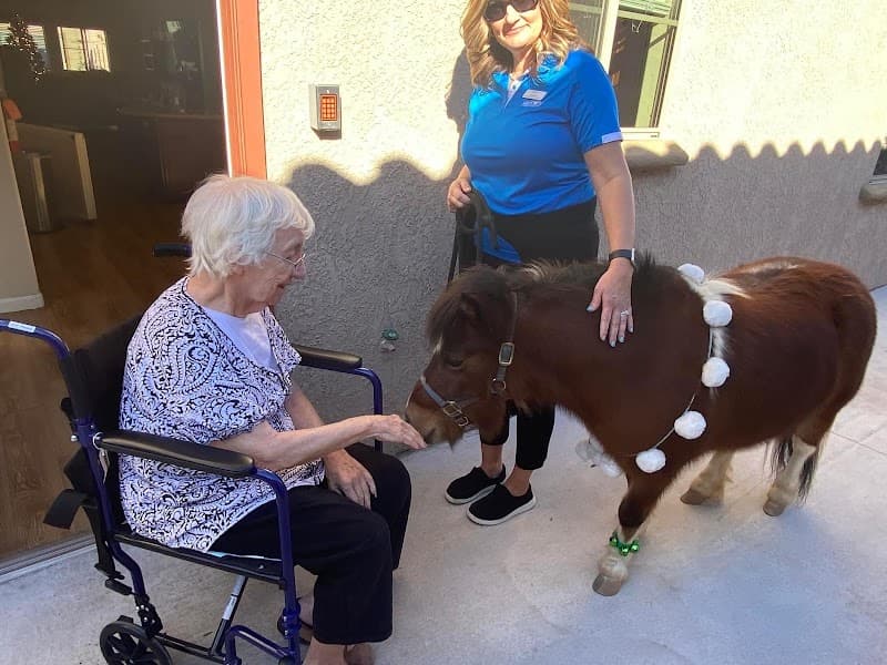 PALO VERDE HOUSE AT INFINITY WILMOT