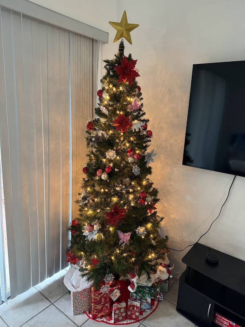 GUARDIAN ELDER CARE SERVICES, INC. (THE)